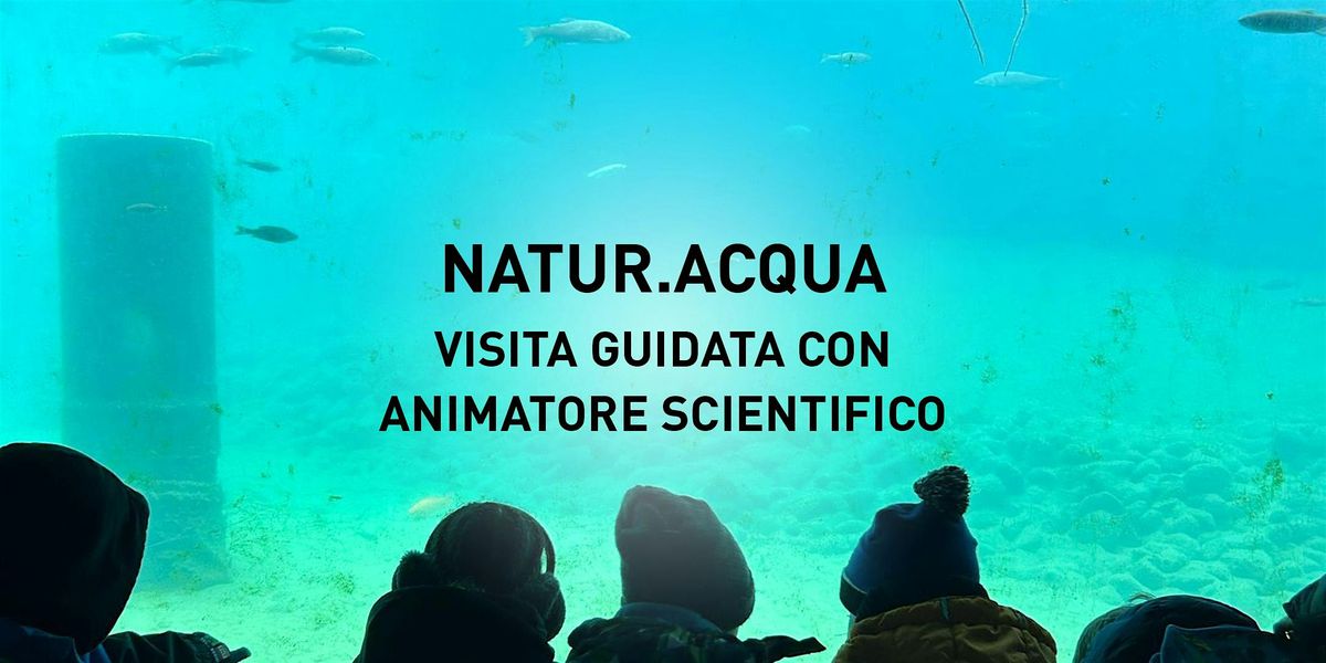 Visita guidata a Natur.Acqua + Gioco.Lab | Event in Brescia | AllEvents