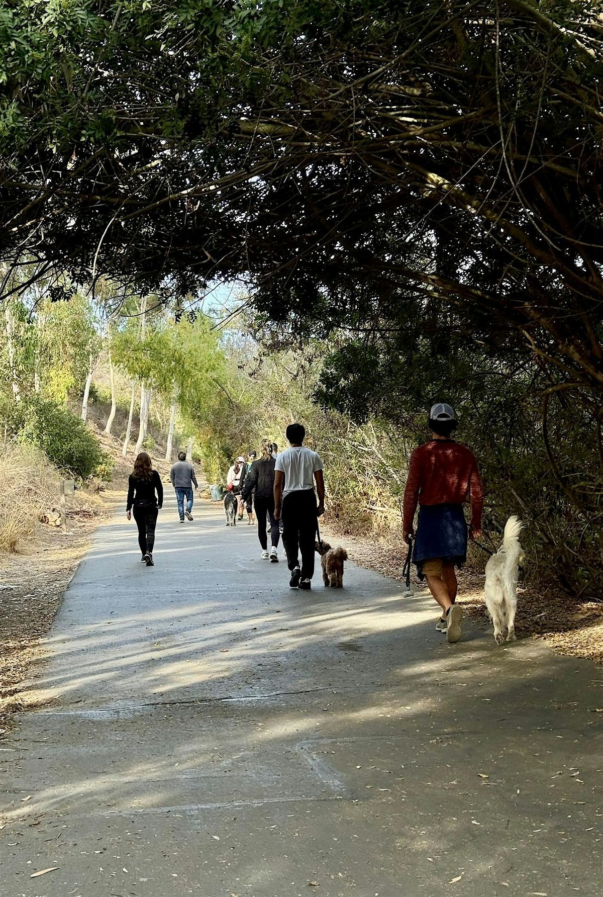 Canine Coach Team Walk - Discovery Lake, 31 May | Event in San Marcos | AllEvents