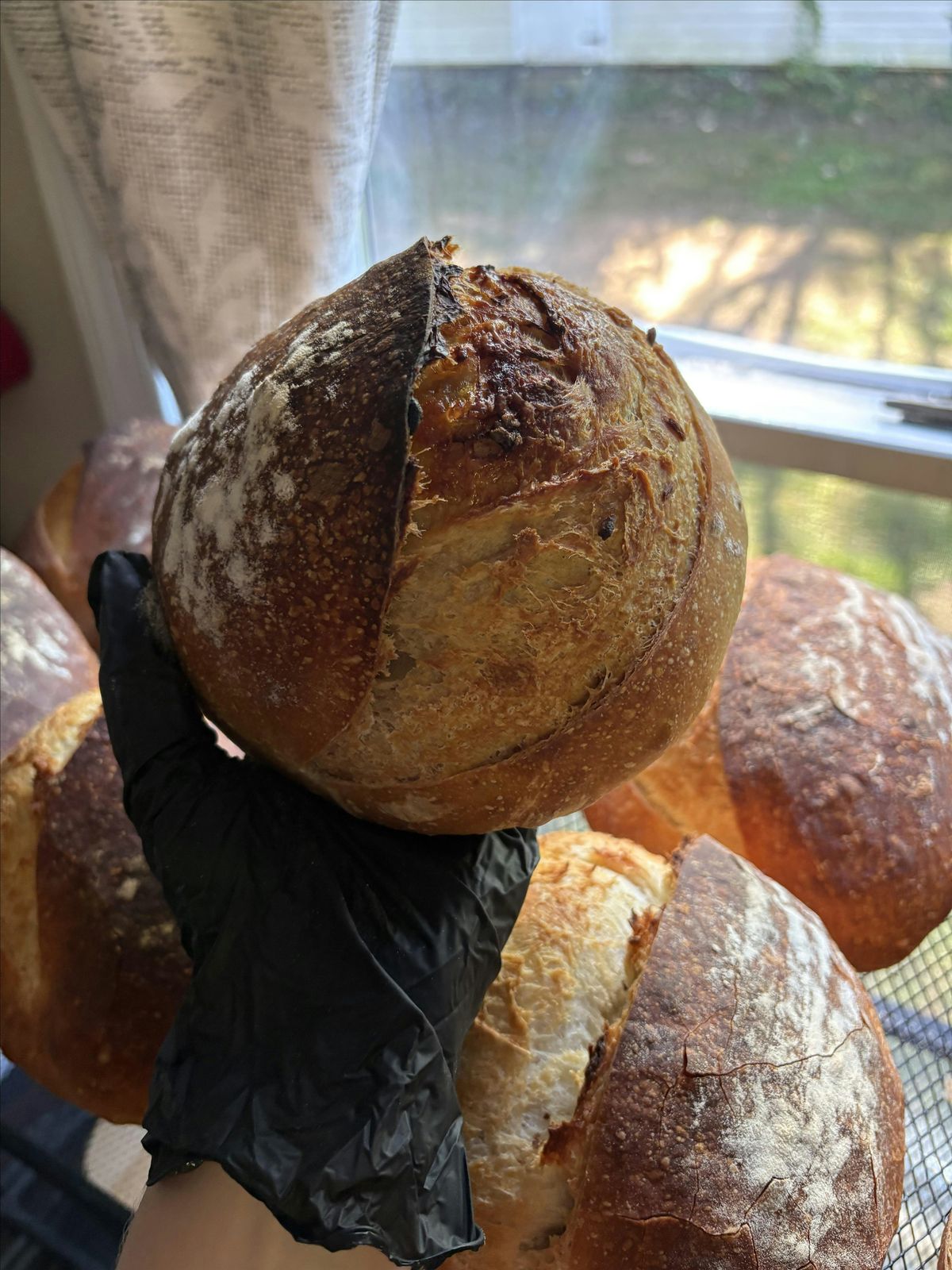 ✨ Sip & Sourdough: Learn the Art of Bread Making at the Barn ✨, 8 November | Event in Havre de Grace