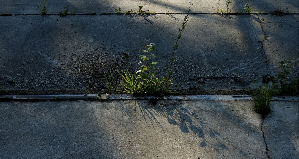 Workshop:Photography & the Built Environment with Mark Shiel & Alice Clancy, 4 October | Event in Galway