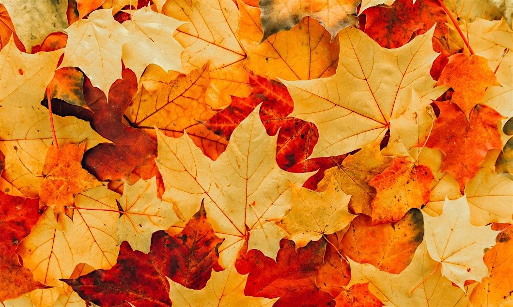 Fall Scavenger Hunt: Children's Program, $4 per child upon arrival, 25 October | Event in East Islip | AllEvents