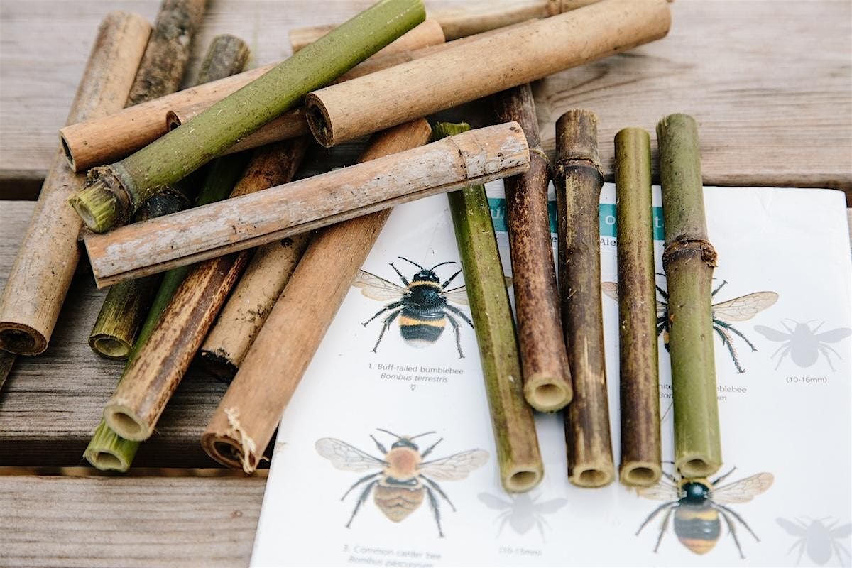Flower Power & Bug Towers, 24 September | Event in Bristol | AllEvents