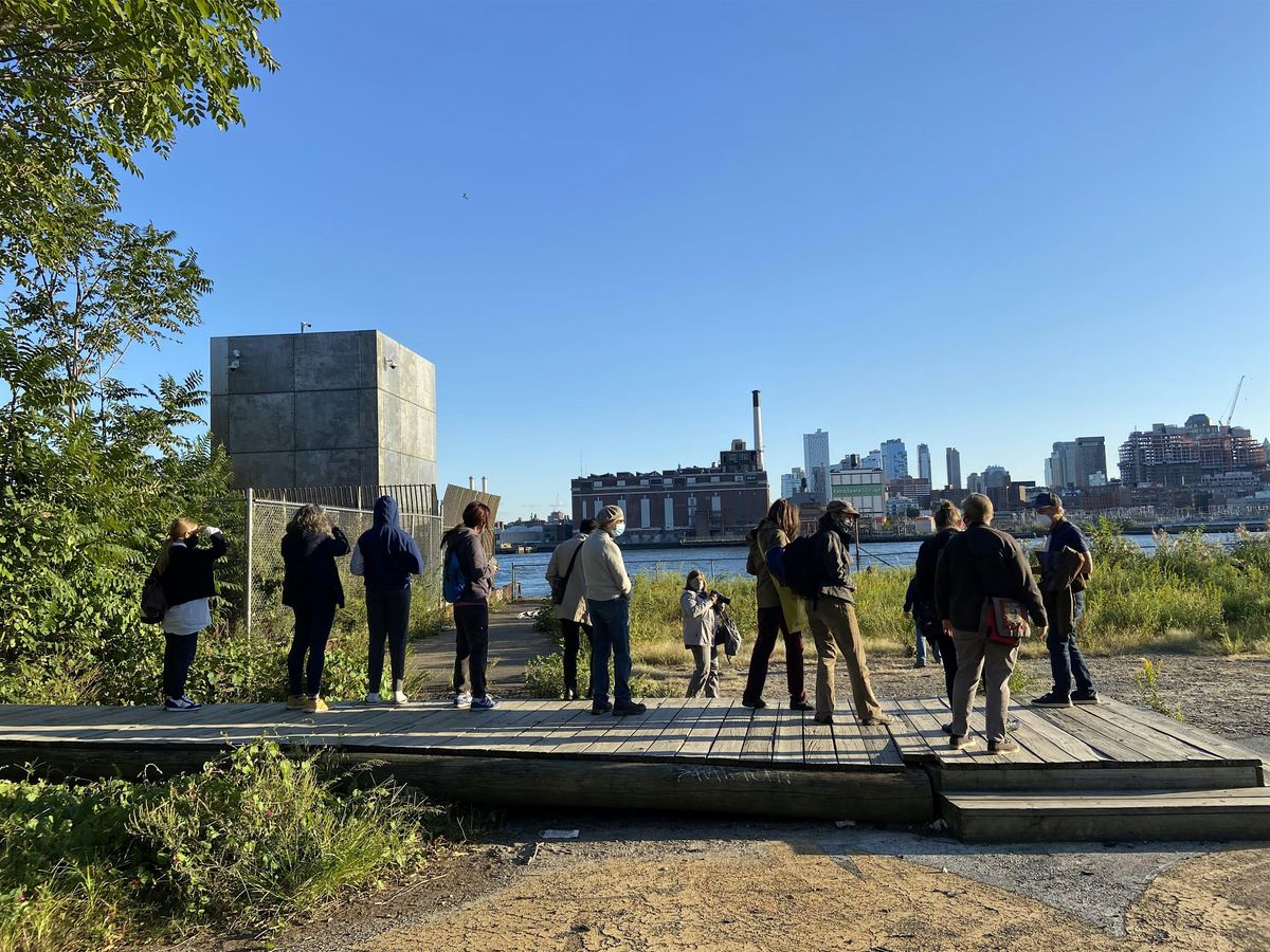 Live Guided Birding tour at Governors Island  Park With LESC and Elijah, 27 September | Event in New York
