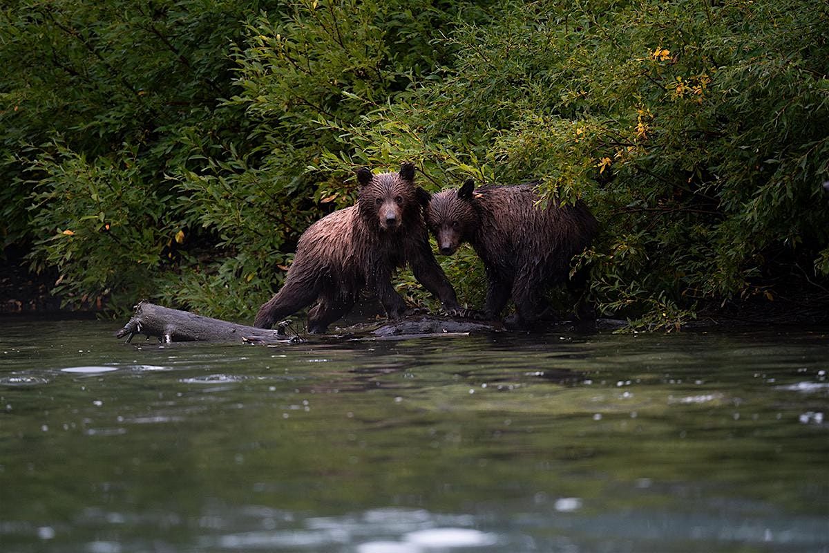 Wildlife Photography Workshop Sponsored by Tamron, 26 September | Event in Madison | AllEvents