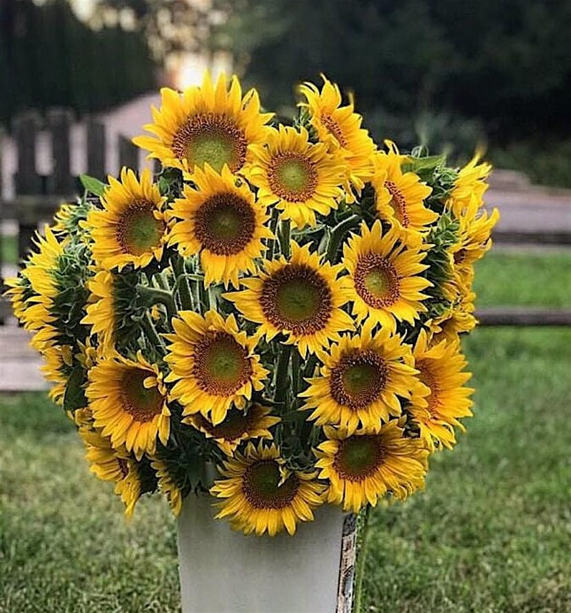 Flower Bouquet Making - Class On Farm, 13 July | Event in Coloma | AllEvents