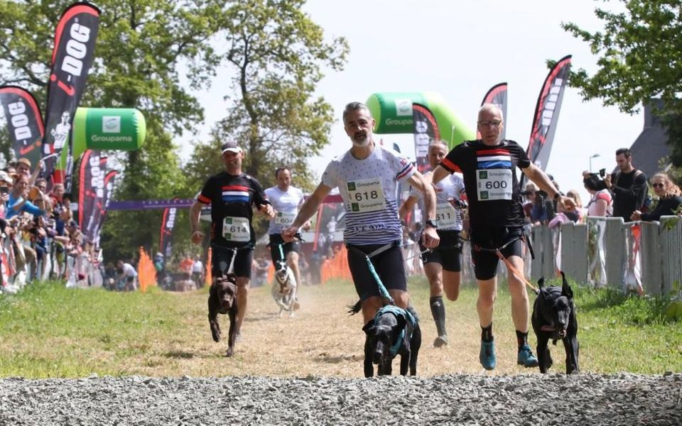 FASTDOG Canicross step en bikejoring RELAY wedstrijd Bruinisse ...
