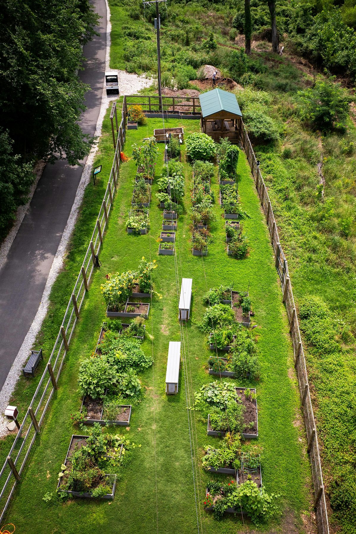 Volunteer in the Eco-Corridor - June 5, 5 June | Event in Richmond | AllEvents