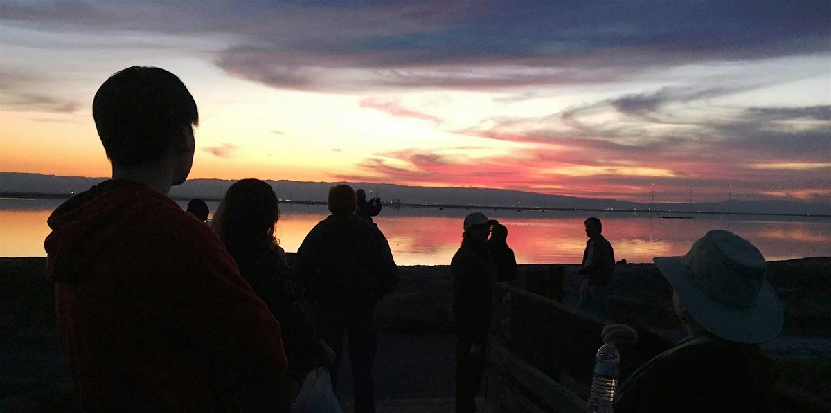 Twilight Marsh Walk, 21 June | Event in Fremont | AllEvents