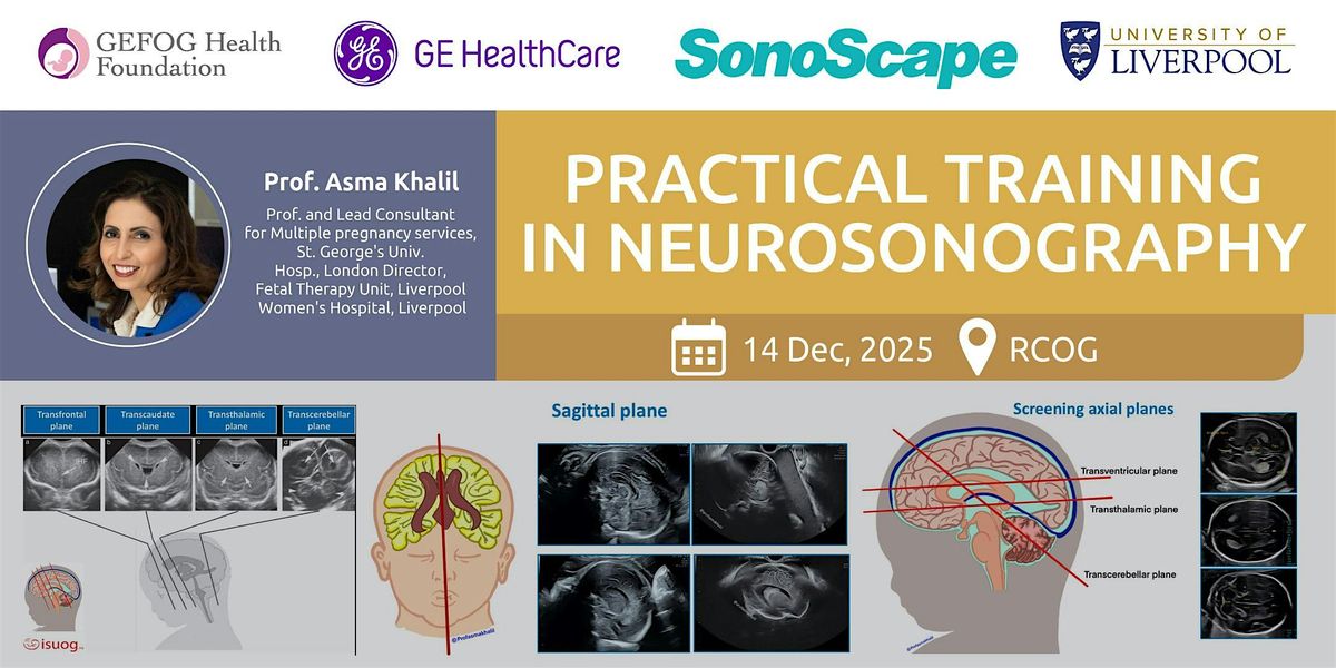 Practical training in Neurosonography, 14 December | Event in London | AllEvents