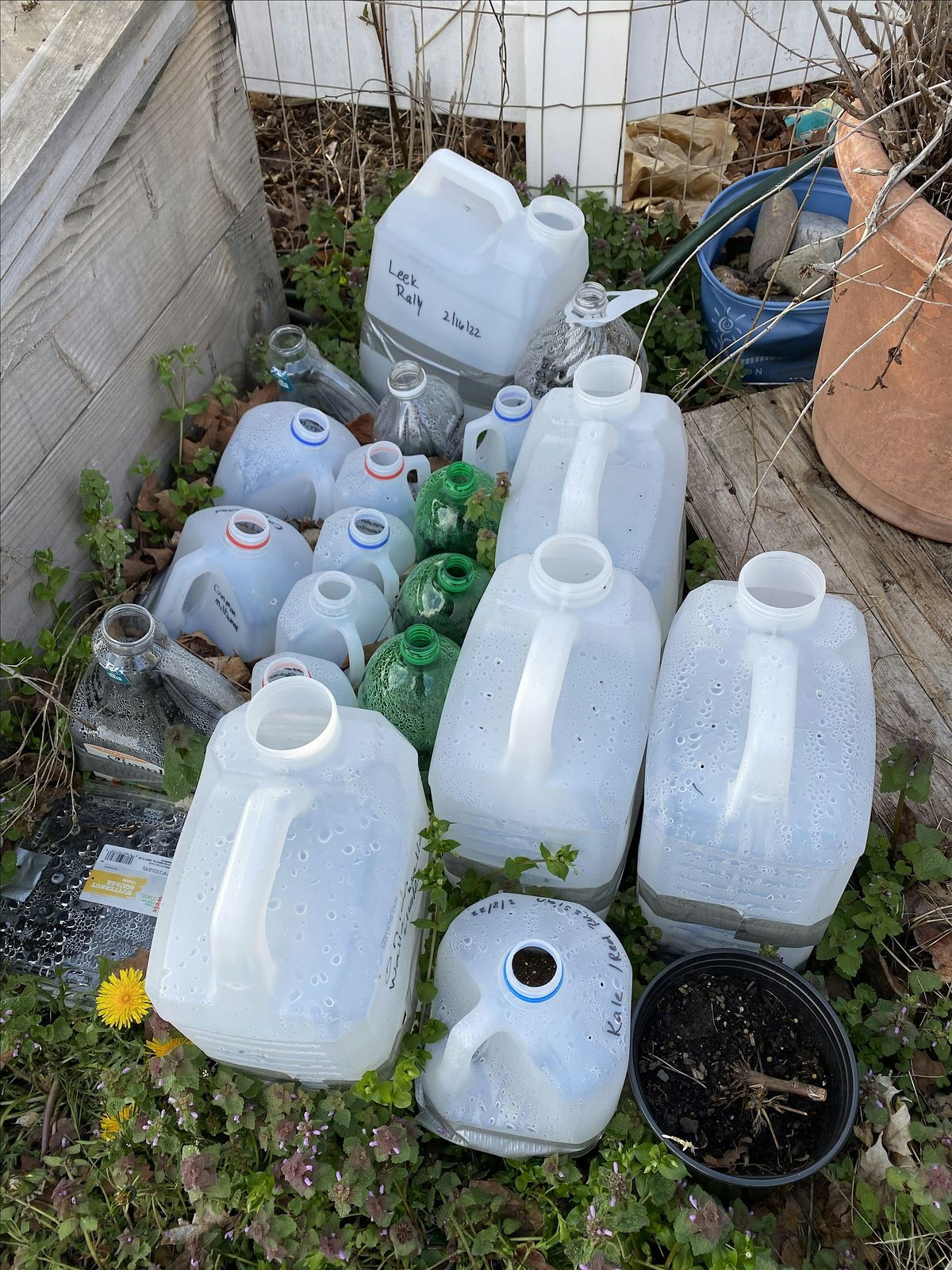 CCMG Specialty Class 1: Winter Sowing (hands-on), 10 January | Event in Westminster | AllEvents