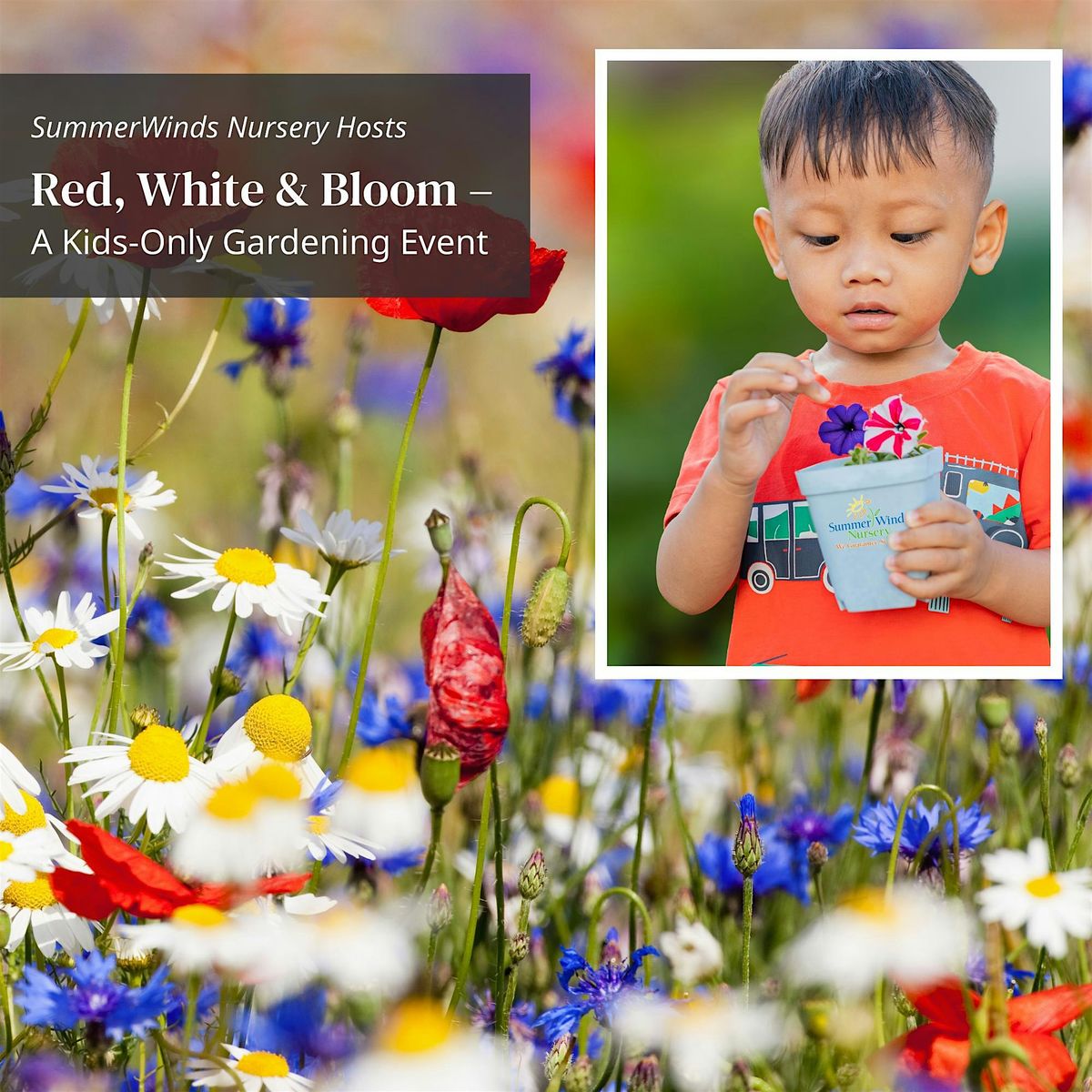Red, White & Bloom – A Kids-Only Gardening Event - Campbell, 6 July | Event in Campbell | AllEvents