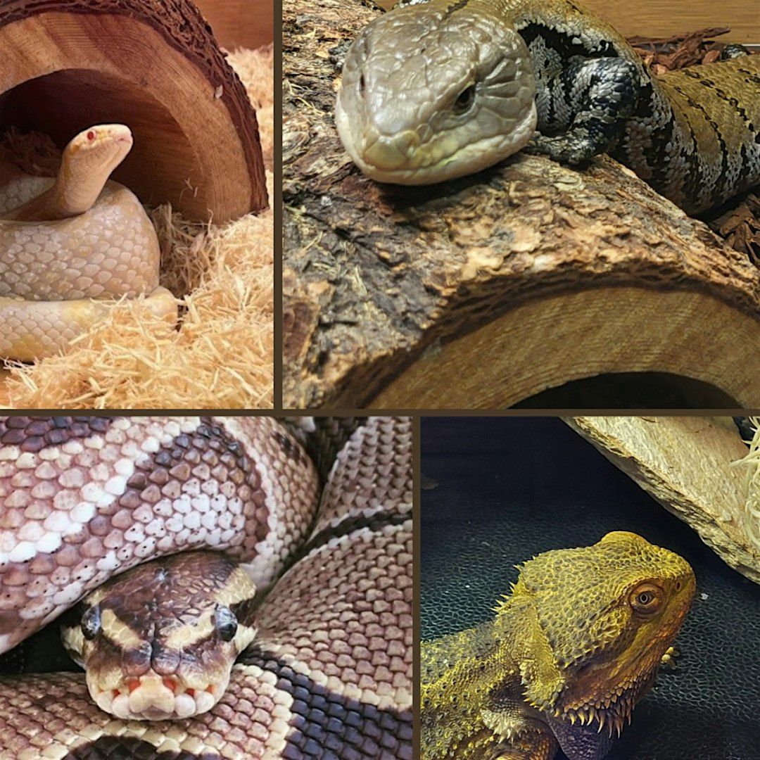 Animal Encounter, 31 August | Event in Deltona | AllEvents