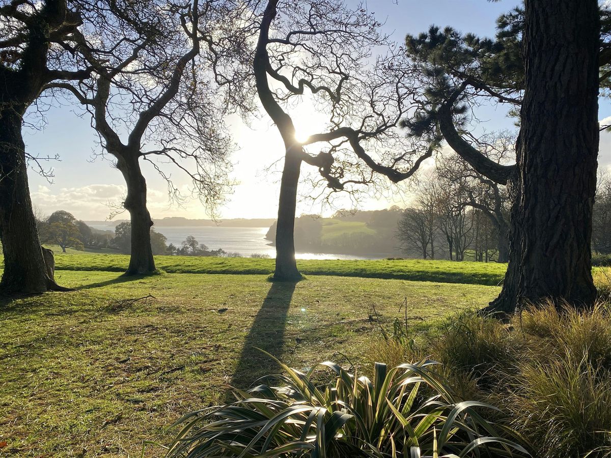 Systemic Family Constellations Workshop - Cornwall, 17 October | Event in Redruth | AllEvents