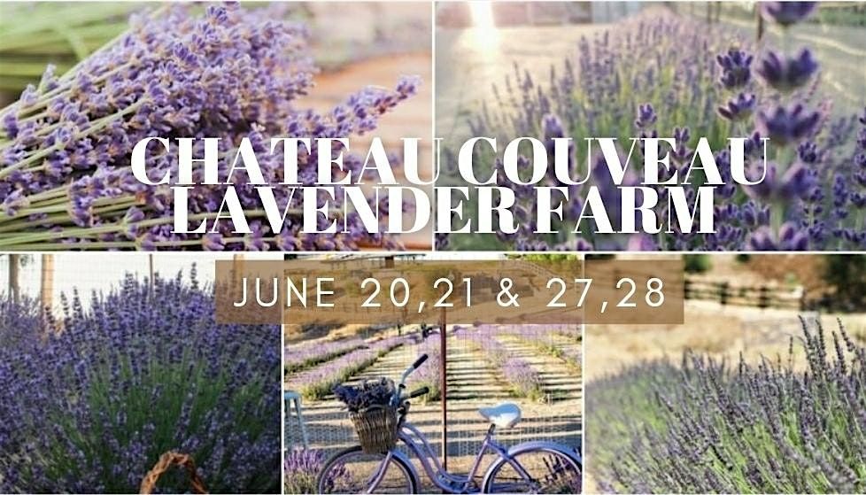 LAVENDER U-PICK EVENINGS / CHATEAU COUVEAU LAVENDER FARM WILDOMAR 6/21-6/28, 20 June | Event in Wildomar | AllEvents