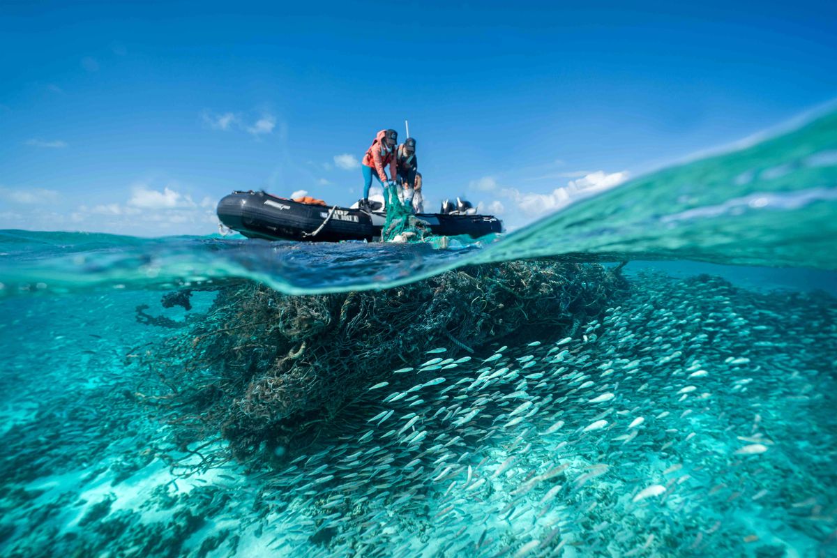 Ocean Steward Night at the Kona Salt Farm, 9 January | Event in Kailua-Kona | AllEvents