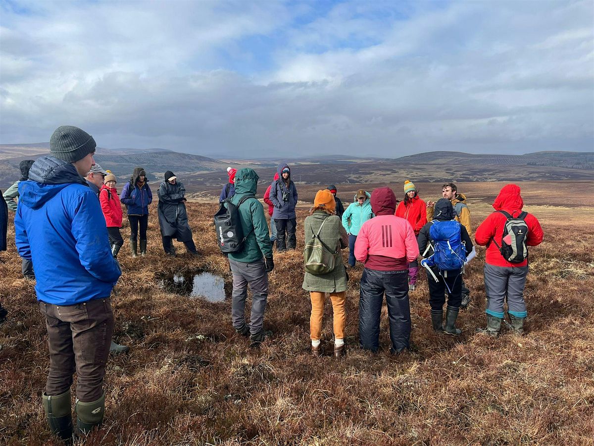 Flow Country Research Conference 9: From Capitulum to Catchment, 28 October | Event in Thurso | AllEvents