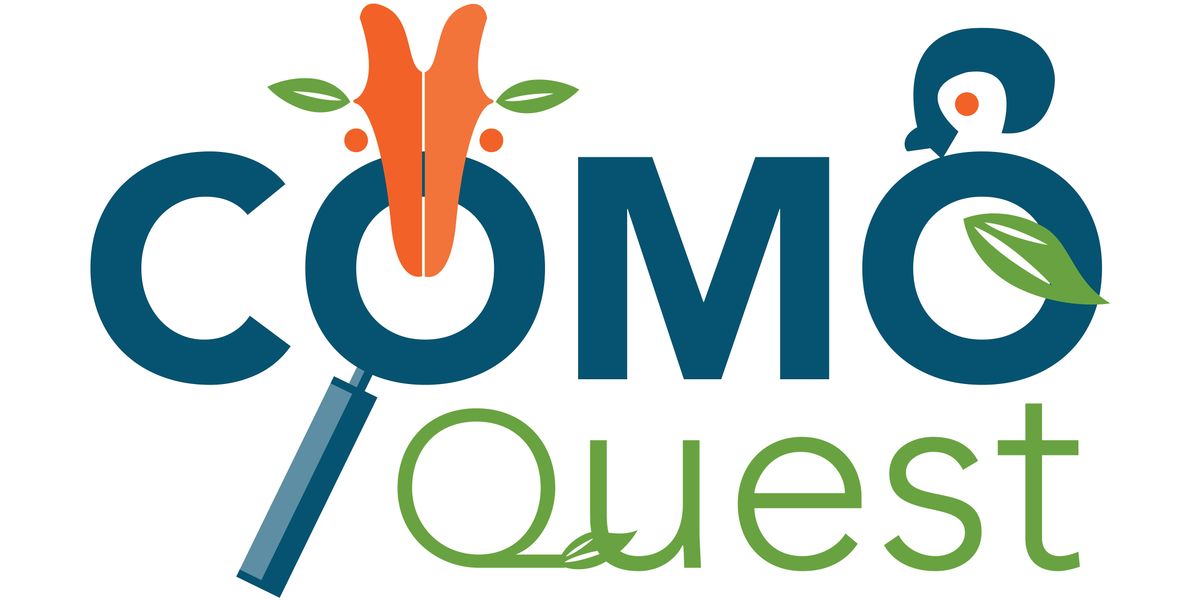 Como Quest, 17 October | Event in Saint Paul | AllEvents