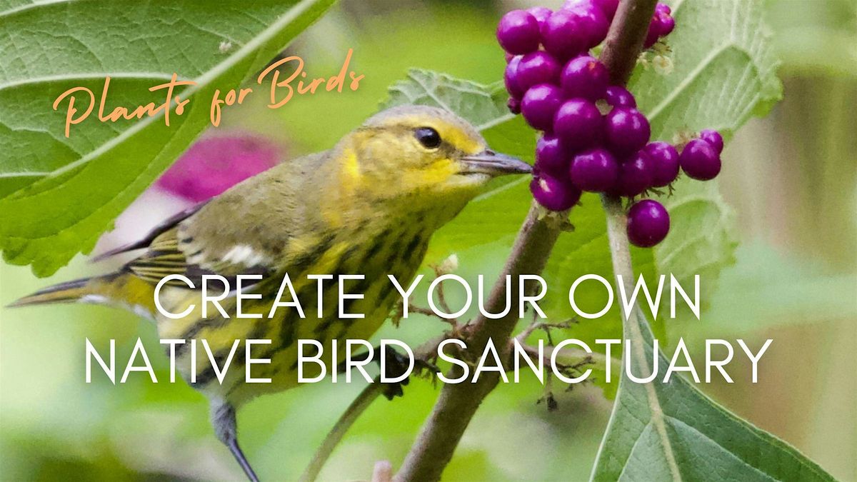 Create Your Own Bird Sanctuary: Belle Glade Library, 9 October | Event in Belle Glade | AllEvents