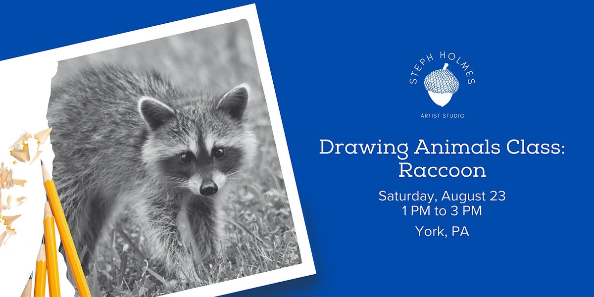Drawing Animals Class: Raccoon, 23 August | Event in York | AllEvents