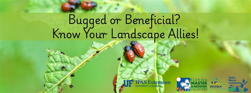 Bugged or Beneficial? Know Your Landscape Allies!, 22 September | Event in St. Cloud | AllEvents