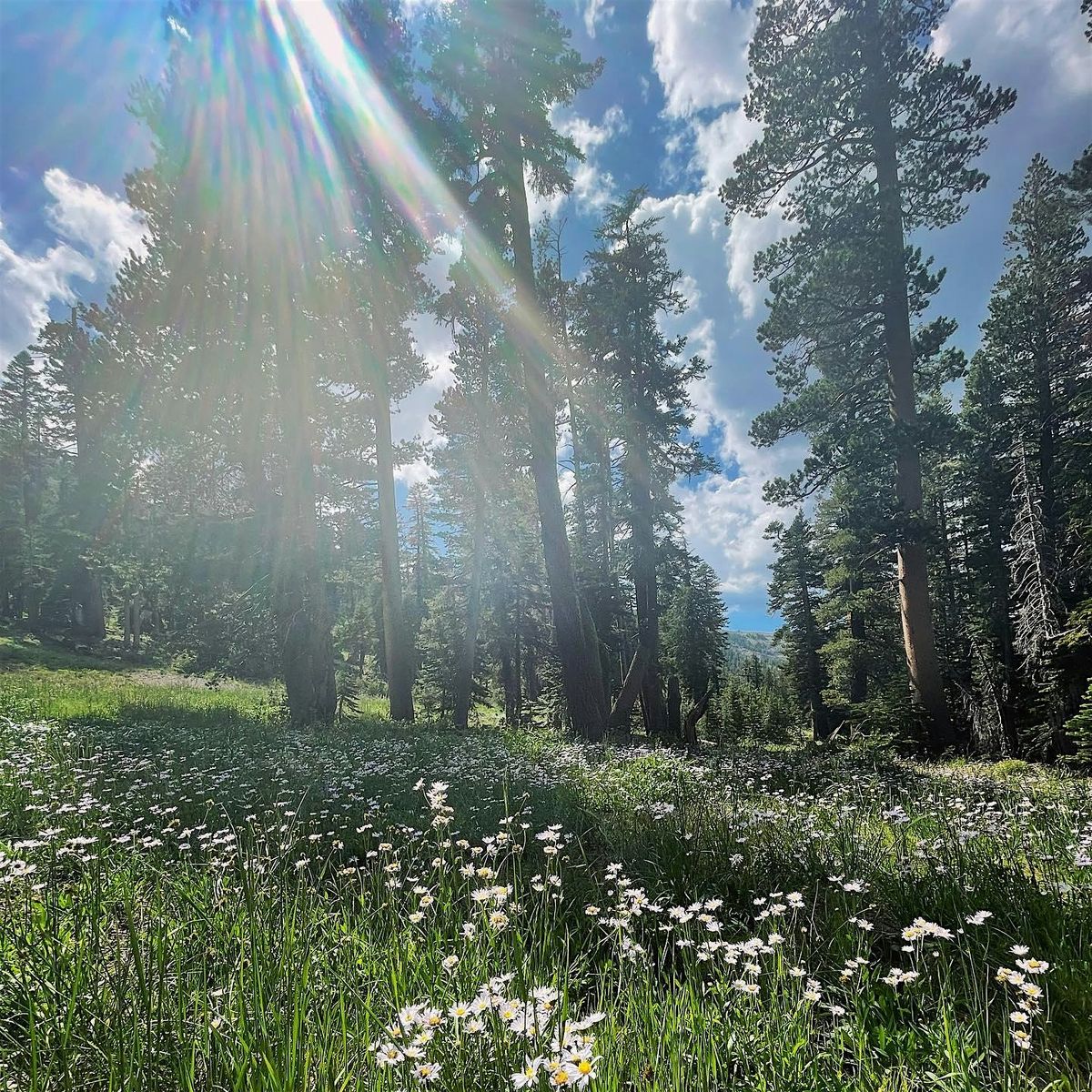 Warren Lake  All Inclusive 1-night Backpacking Adventure, 19 July | Event in Truckee | AllEvents