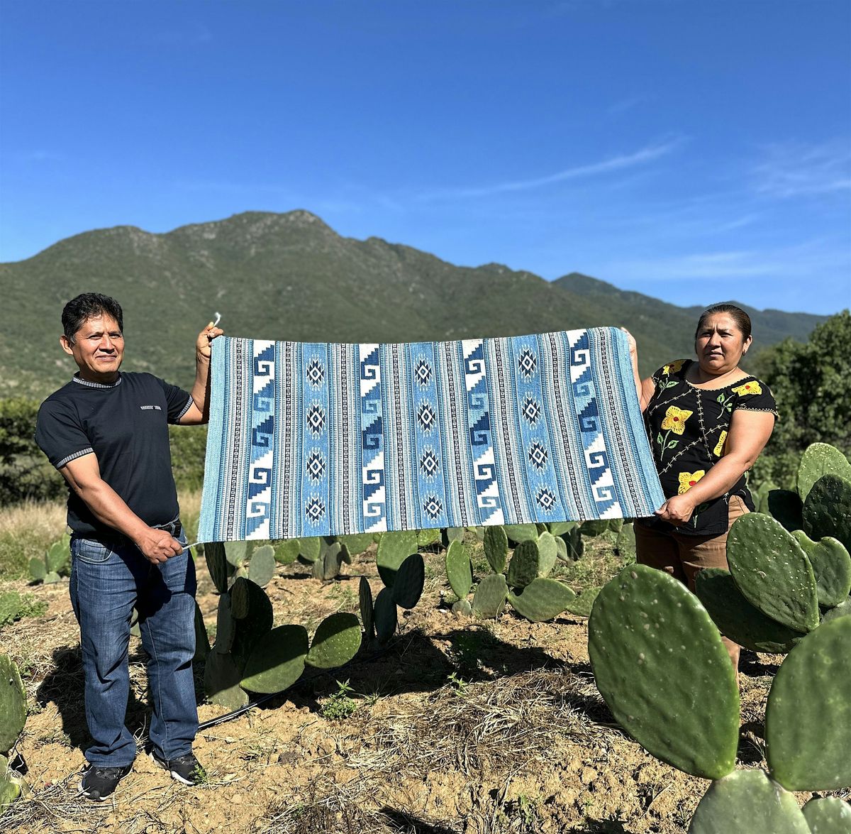 Master Weaver Fall Exhibition, 11 October | Event in Solana Beach | AllEvents