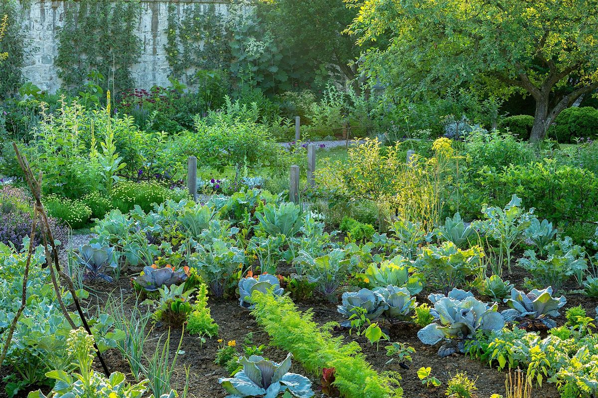 A Tour of the Garden and Gallery at Oak Spring Garden - Day 2, 28 June | Event in Upperville | AllEvents