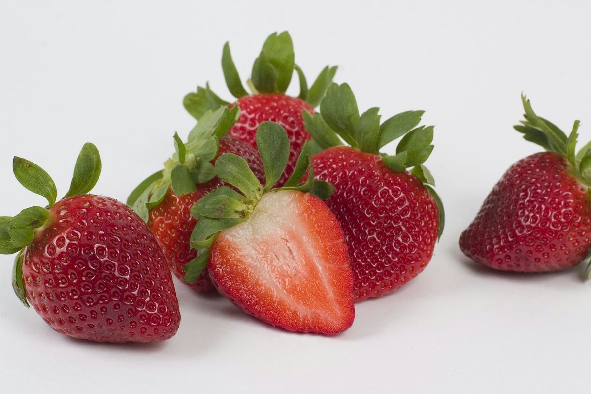 Learn How to Grow Your Own Strawberries--And Take Home Plants!, 24 October | Event in Jacksonville | AllEvents