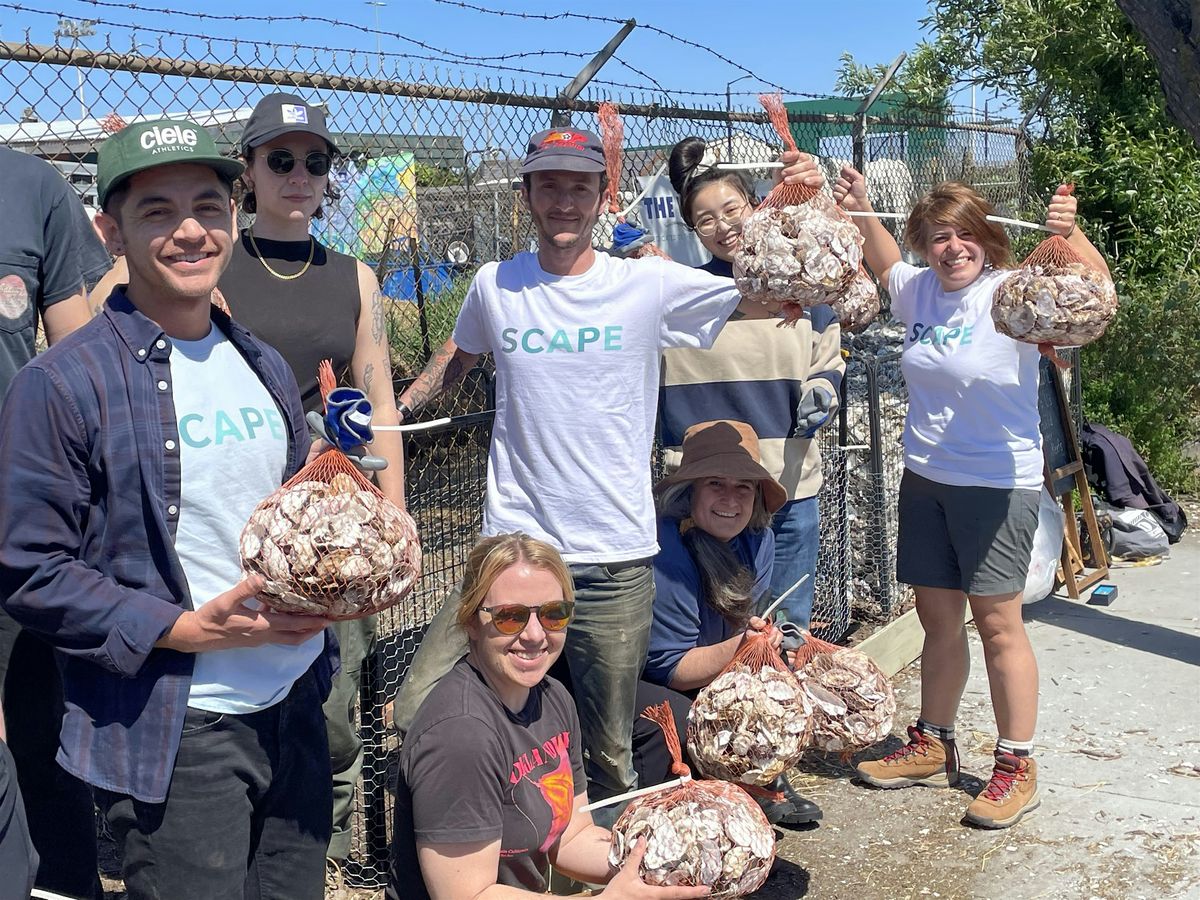 Shell Move & Bagging Day, 27 September | Event in Alameda | AllEvents