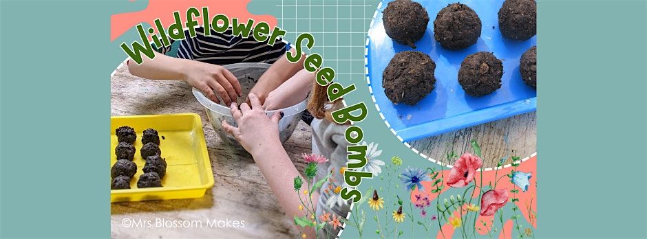 Mrs Blossom Makes Wildflower Seed Bombs, 28 May | Event in Portsmouth | AllEvents