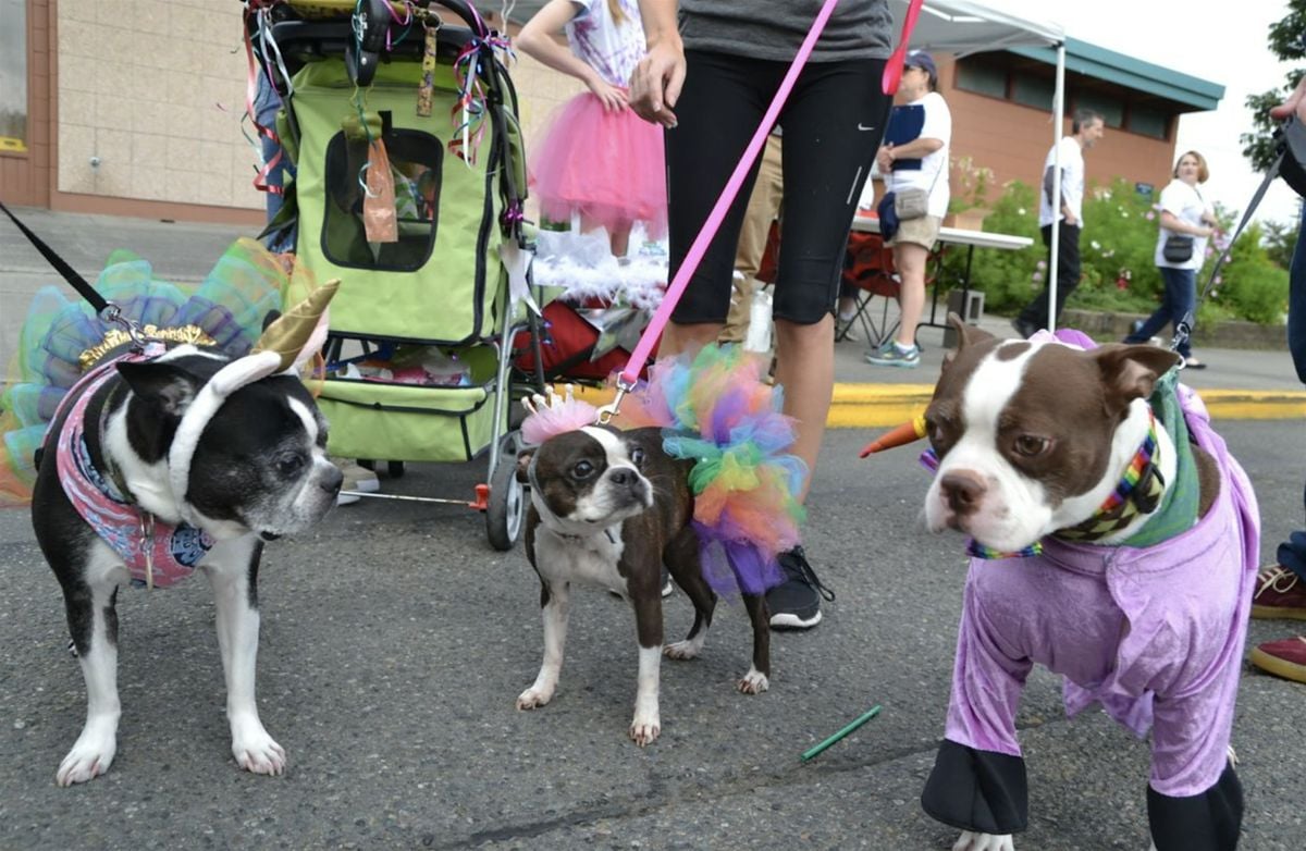 Baltimore Pet Parade, 25 October | Event in Baltimore | AllEvents
