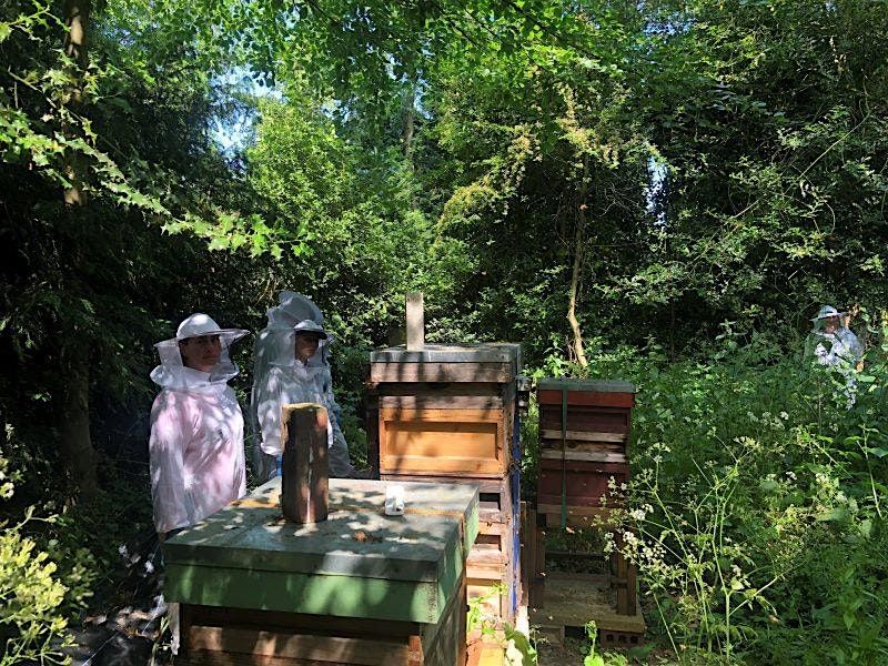 Introduction to Beekeeping Sat 30th & Sun 31st August 2025, 30 August | Event in Birmingham | AllEvents