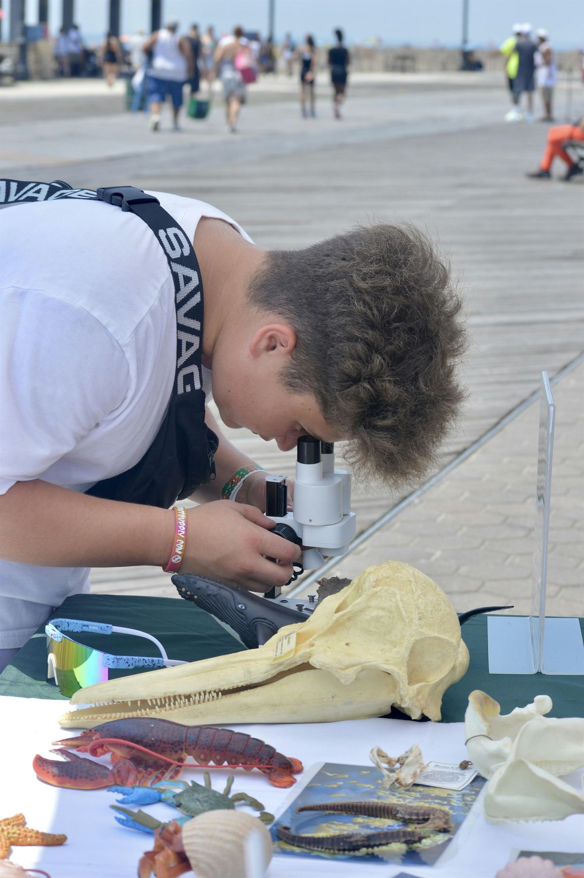 Free! New York Nature Mobile Pop-Up Science Program, 29 June | Event in Brooklyn | AllEvents