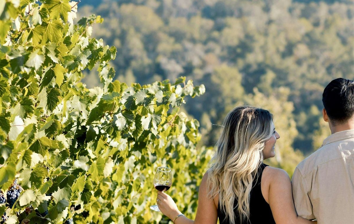 Wines Within the Vines, 27 July | Event in Gilroy | AllEvents