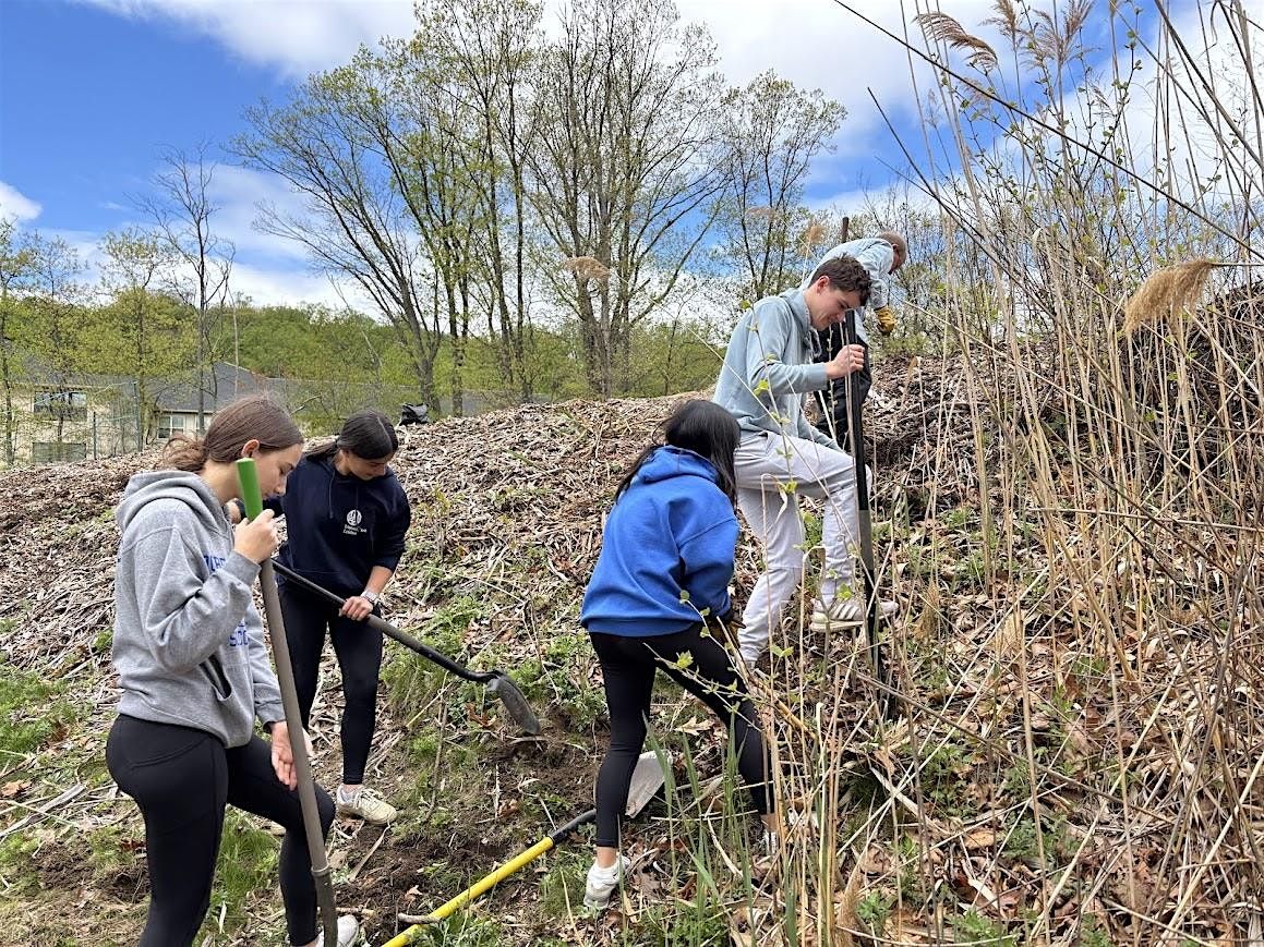 Sunday 11/23 Volunteer Pollinator Garden & Trail Maintenance - Dobbs Ferry, 23 November | Event in Dobbs Ferry