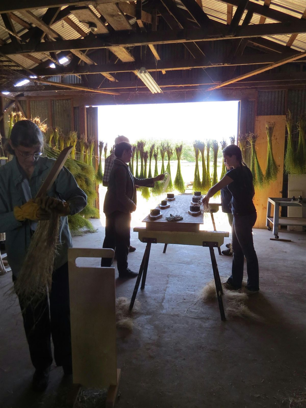 Flax Processing with Sandy and Durl of Golden State Linen, 17 May | Event in Point Reyes Station | AllEvents