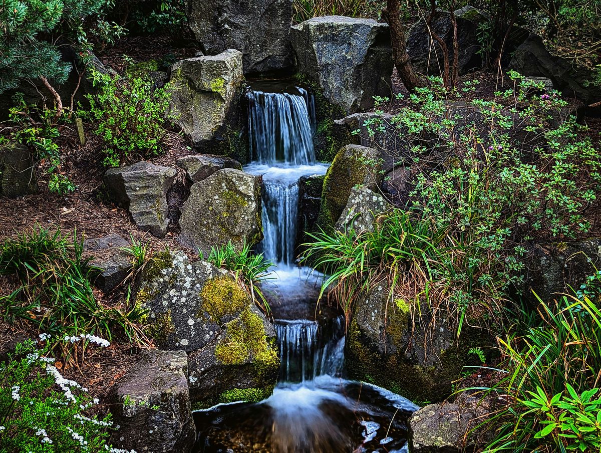 Forest Bathing at Lauriston Castle Gardens, 16 August | Event in Edinburgh | AllEvents