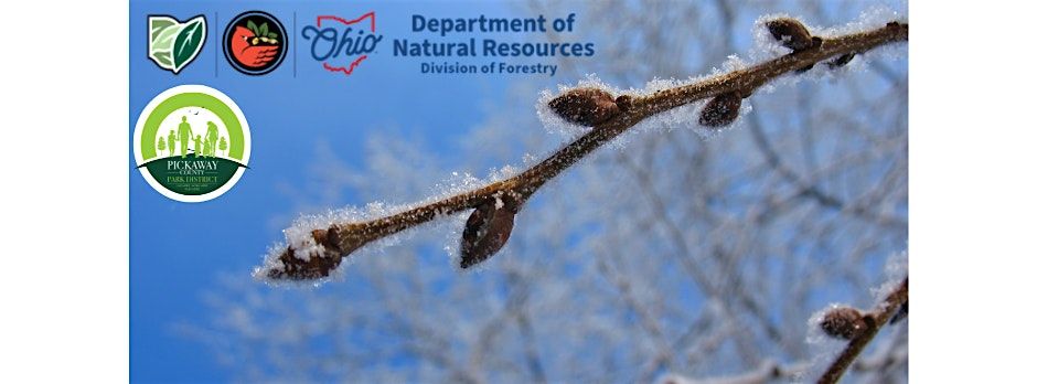 Winter Tree ID Hike: Twigs, Buds, & Bark, 6 December | Event in South Bloomfield | AllEvents