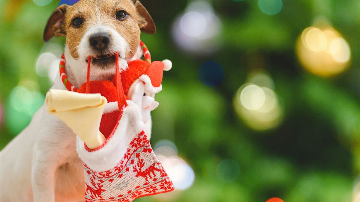 Holiday Stocking Making for Your Dog - Members Only!, 7 December | Event in Temecula | AllEvents