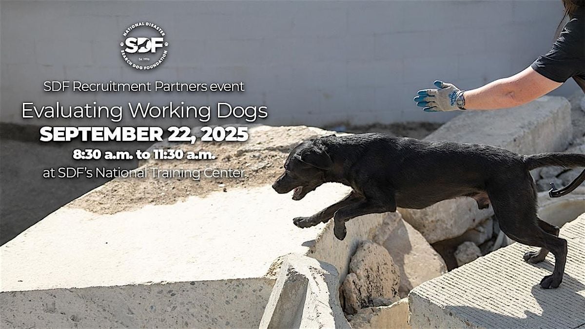 Evaluating Working Dogs, 22 September | Event in Santa Paula | AllEvents