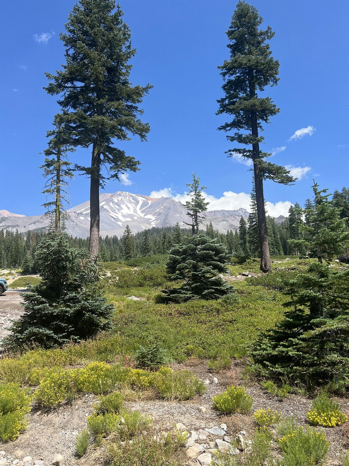 Trust and Transformation:  Mt. Shasta Retreat September 6-11th  2025, 6 September | Event in Mt. Shasta | AllEvents
