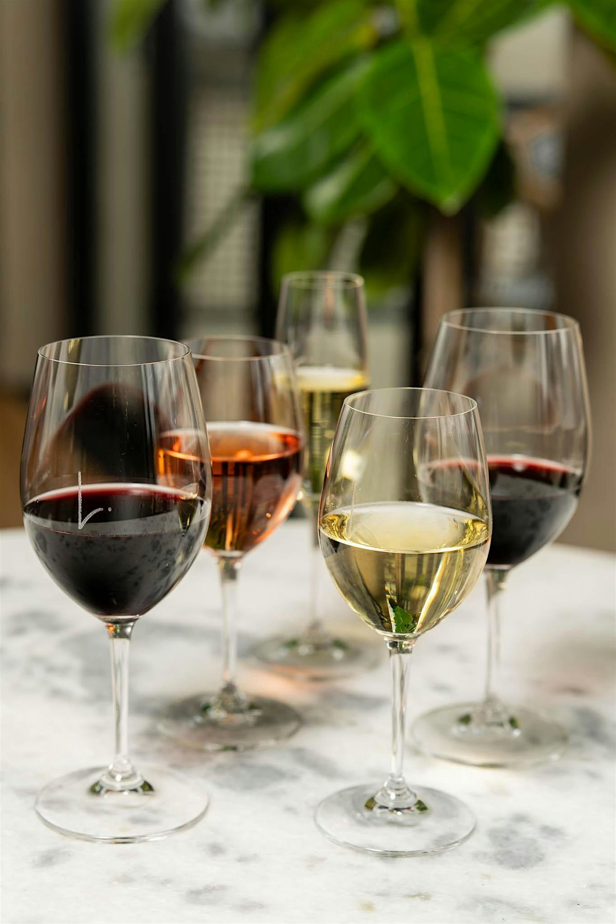 Mini wine tasting event at The Lark!, 27 August | Event in Forest Hills | AllEvents