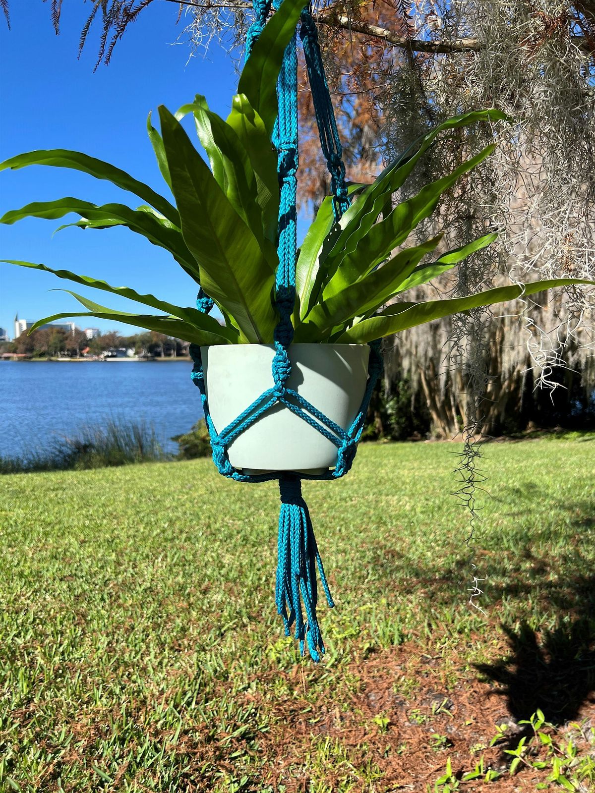 Macramé  Plant Hanger, 24 August | Event in Orlando | AllEvents