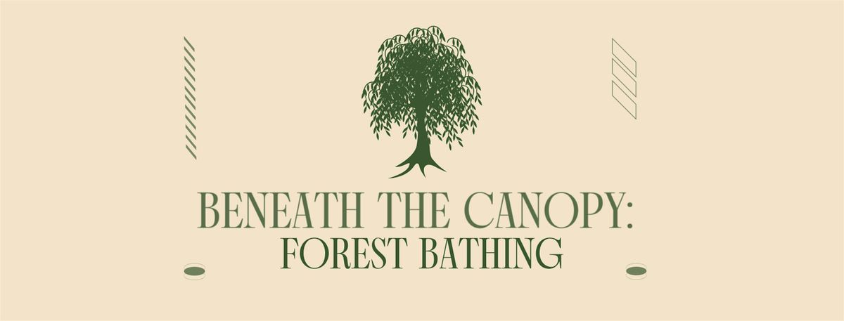 Beneath the Canopy: Forest Bathing at Wallington, 27 September | Event in Cambo | AllEvents