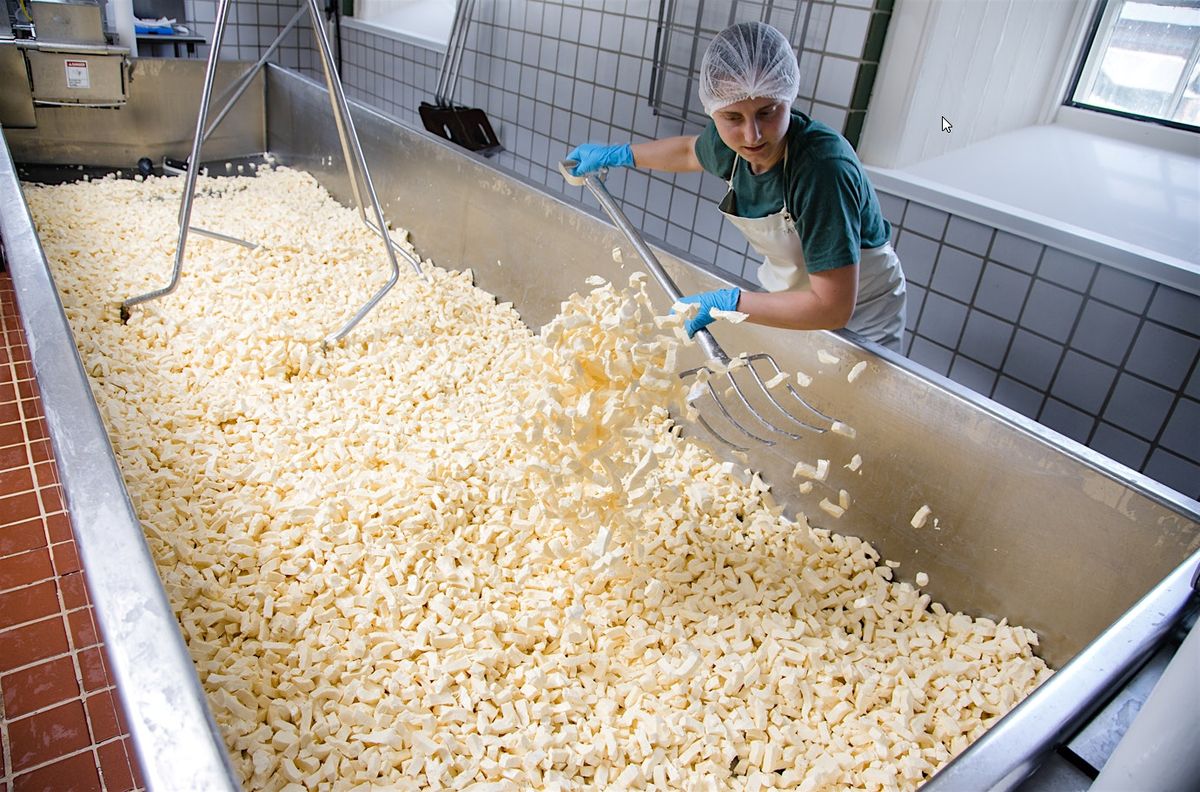 Sun to Cheese Tour 2025 | Event in Shelburne | AllEvents