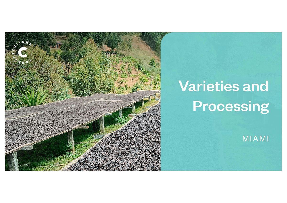 Coffee Origins: Varieties and Processing - Miami, 17 September | Event in Miami | AllEvents