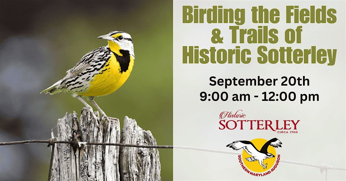 Birding the Fields & Trails of Historic Sotterley, 20 September | Event in Hollywood | AllEvents
