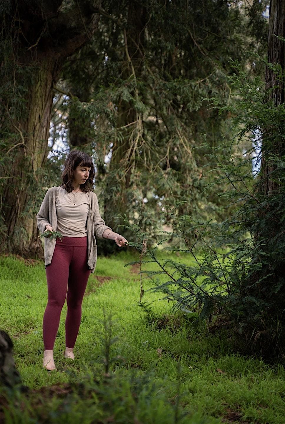 Herbal Medicine Making Circle in SF Garden with Wild Nutritive Nettle, 16 November | Event in San Francisco