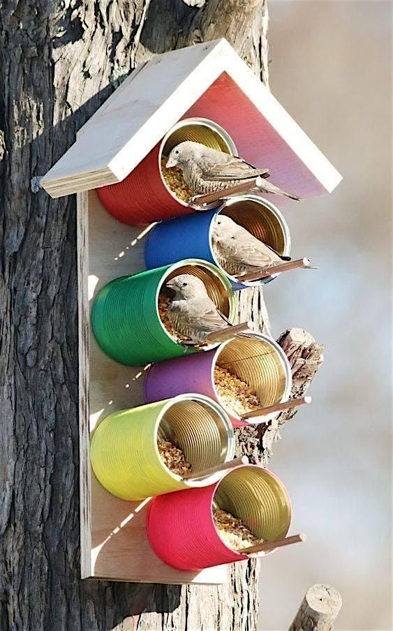 Brilliant Bird Feeders, 13 September | Event in San Rafael | AllEvents