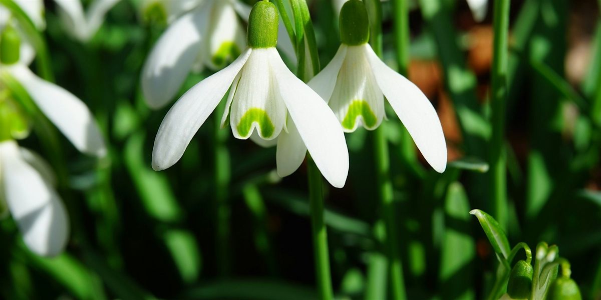 Bereavement Drop-In December 2025, 22 December | Event in Norwich | AllEvents